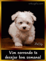 Recados e Imagens - Boa Semana 